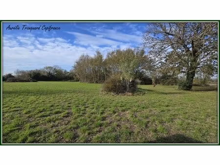 terrain 3743 m² à vendre proche saint jean d'angély et proximité surgères