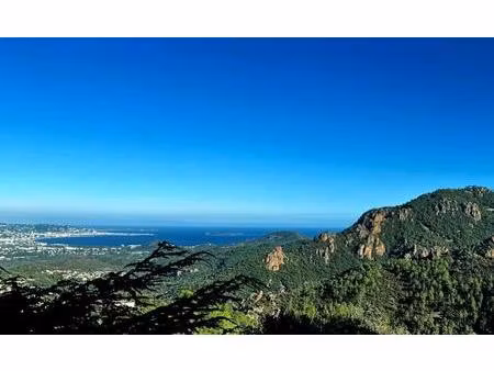 achat : maison (06210)