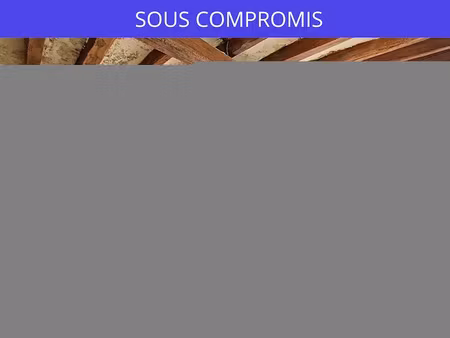 vente maison 5 pièces 140 m² à souvigne (37330)  nan €