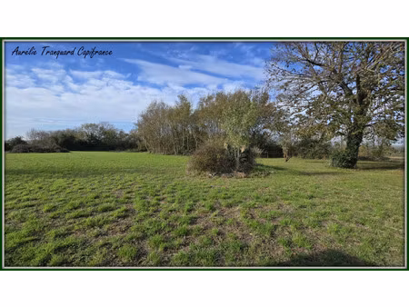 terrain à vendre nachamps 3741m2 40 000€