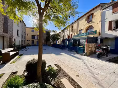 vente immeuble 263m2 saint-andré 66690 - 598000 € - surface privée