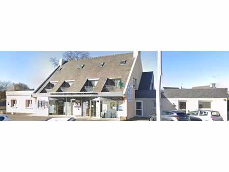 local commercial 293 50 m2