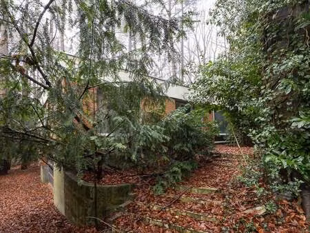 maison à vendre à kalmthout € 650.000 (lklgb) - dejongh  de boungne & de smedt | zimmo