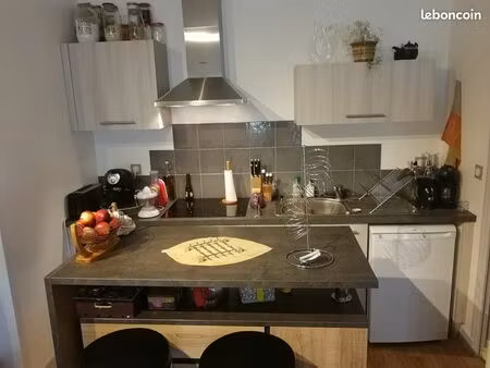 bel appartement chinon centre