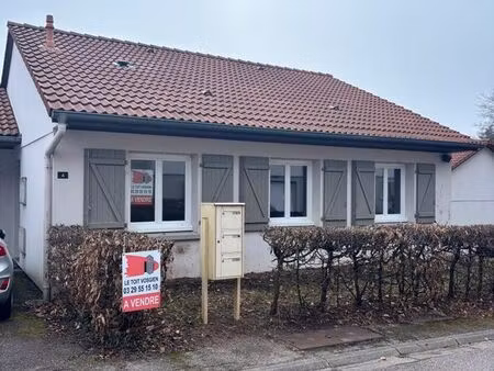 pavillon mitoyen saint die