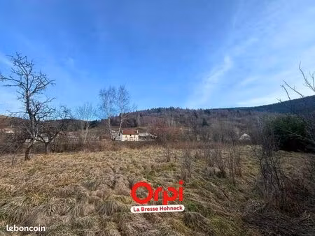 terrain 3 579 m² bussang