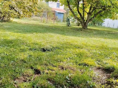 terrain constructible 556m²