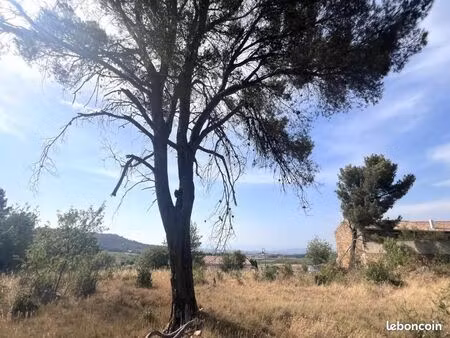 terrain 4 795 m² boutenac