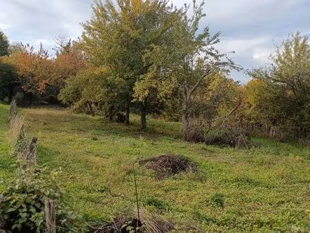 terrain constructible