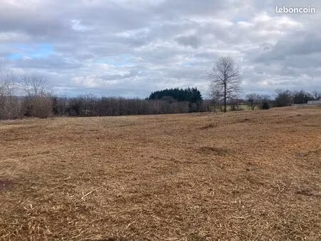 terrain constructible