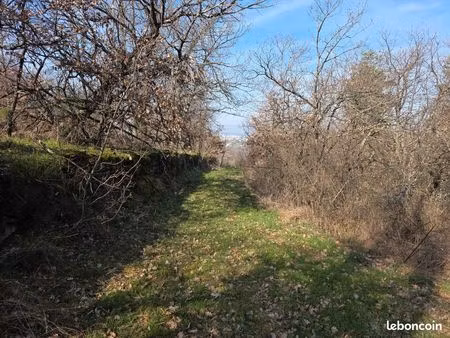 terrain agricole à vendre – roiffieux (07)