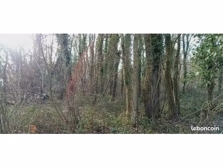 terrain 2390 m² brancourt en laonnois