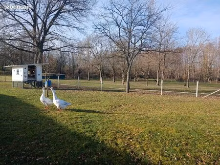 terrain 1 hectare environ