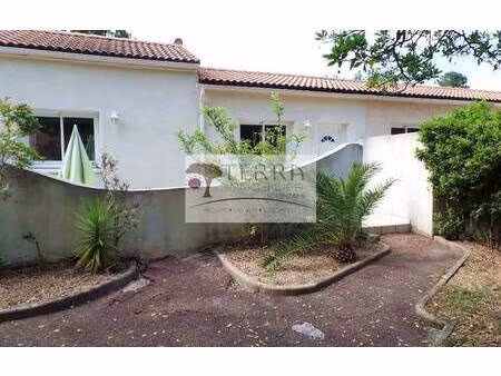 terra immobilier solenzara