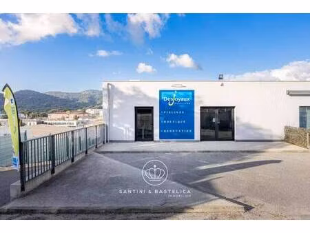 santini & bastelica immobilier