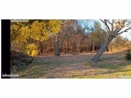 forêt de chênes / terrain de loisir