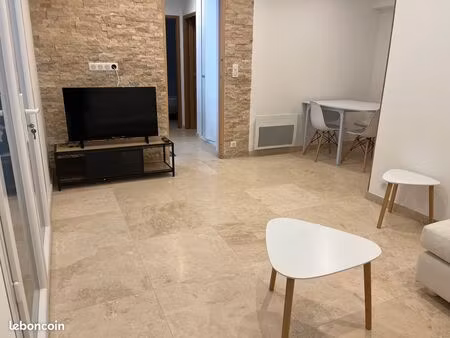 appartement meublé  rénové avec jardinet et terrasse