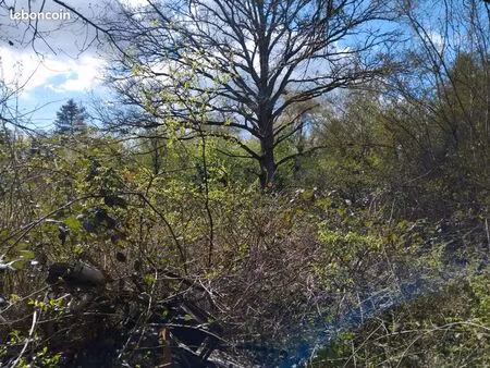 terrain proche bourdon