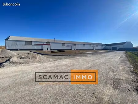 local d'activité 336 m²