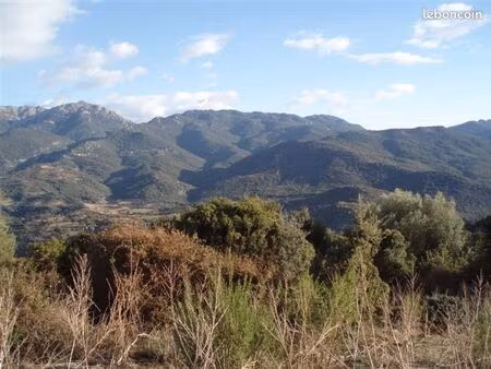 parcelles boisées avec ruine bergerie cadastrée en sortie de pila canale