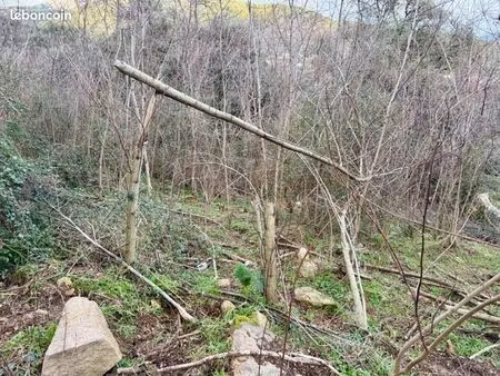 terrain 1 500 m² coggia