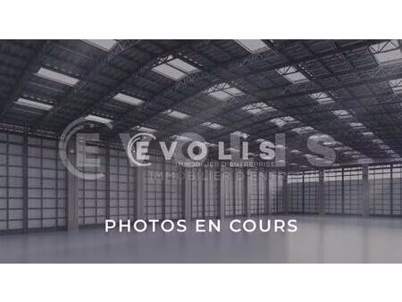 locaux d'activité à louer à chessy