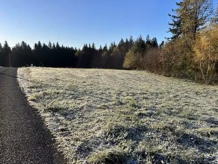 terrain constructible viabilisé à vendre