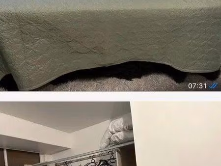 location appartement 1 pièce 15 m² à boussy-saint-antoine (91800)