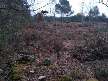 terrain zone naturelle verdon