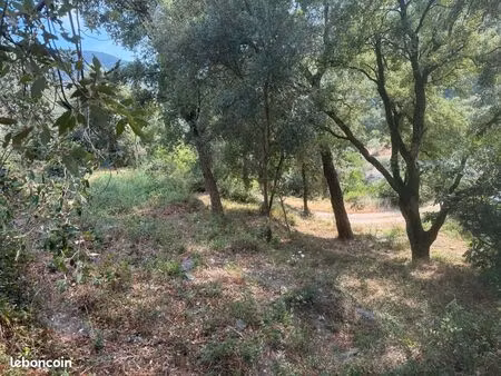 à vendre terrain constructible à santa maria di lota