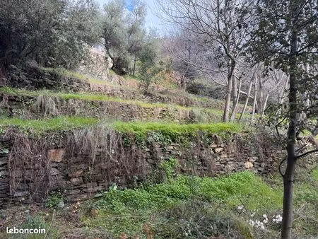 terrain constructible à santa maria di lota