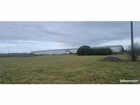 serre horticole 6000m2 et terrain agricole