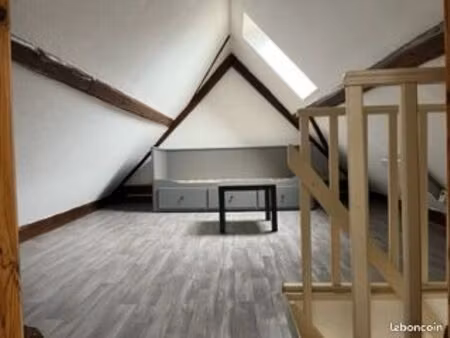 logement atypique avec mezzanine 26m2
