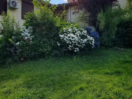 maison de plein pieds sur sous sol complet 158m2