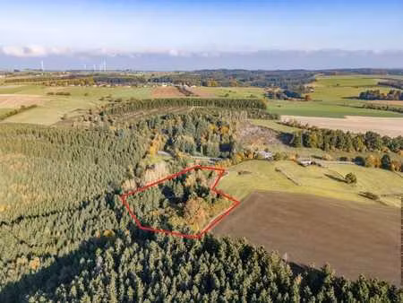 bastogne - chalet sur un hectare