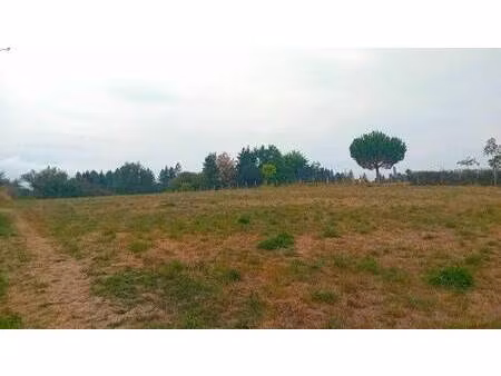 terrain constructible viabilisé à vendre