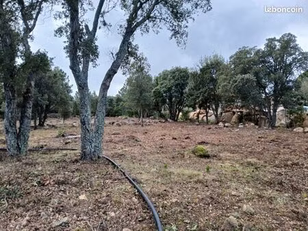 terrain constructible 5000m2