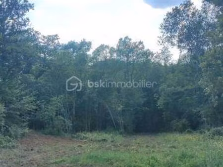 terrain constructible viabilisé à vendre