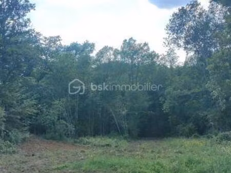 terrain constructible viabilisé à vendre
