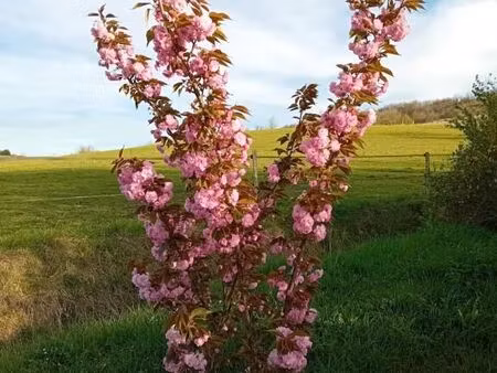 propriété en pierre
