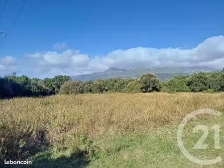 a louer terrain plat 5000 m² à borgo