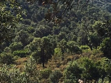 terrain agricole ste maxime