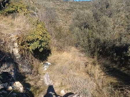 terrain cantaron 06340