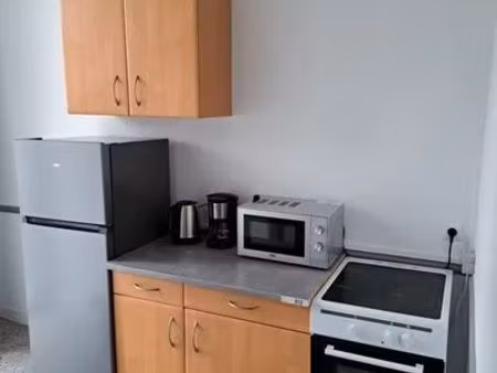 charmant petit f1 avec jardin