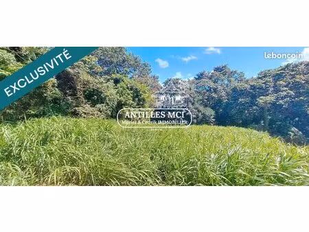 terrain 1632 m² riviere-salee