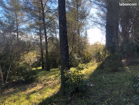 terrain constructible