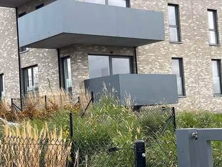 à louer à visé : appartement 2 chambres