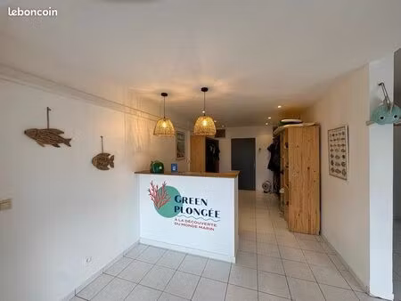 locaux commerciaux marina st francois