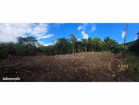 terrain 2 072 m² bouillante