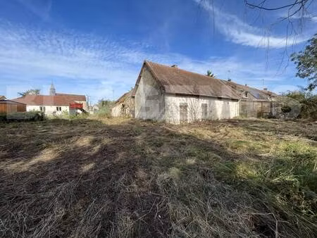 nicolas dartus - bl agents